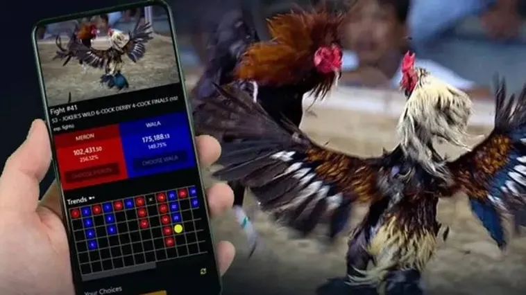 Cách Chơi Đá Gà WS168 Tại 79King: Hướng Dẫn Chi Tiết Nhất