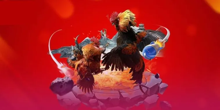 Đá Gà 79King: Tìm Hiểu Sân Chơi Giải Trí Đỉnh Cao 2024